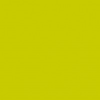 Airlaid Cocktail-Serviette Kiwi, 25 x 25 cm, 50 Stück - Mank Airlaid Cocktail-Serviette Kiwi, 25 x 25 cm, 50 Stück - Mank