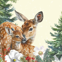 Airlaid Serviette Kemi, 40 x 40 cm, 50 Stück - Mank Airlaid Serviette Kemi, 40 x 40 cm, 50 Stück - Mank