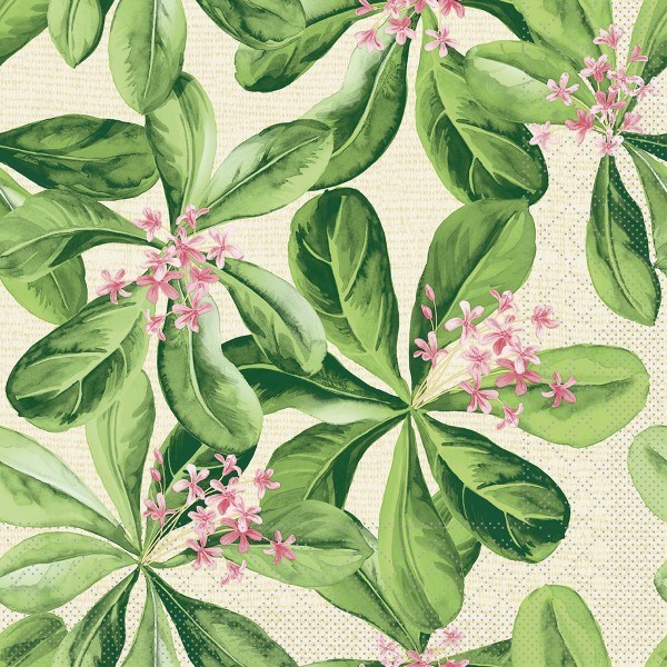 Tissue Serviette Jane, 40 x 40 cm, 100 Stück - Mank