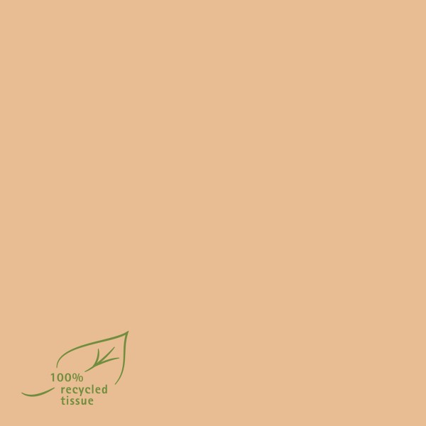 Softpoint Serviette 100% recycled Tissue, 40 x 40 cm, 60 Stück - Mank