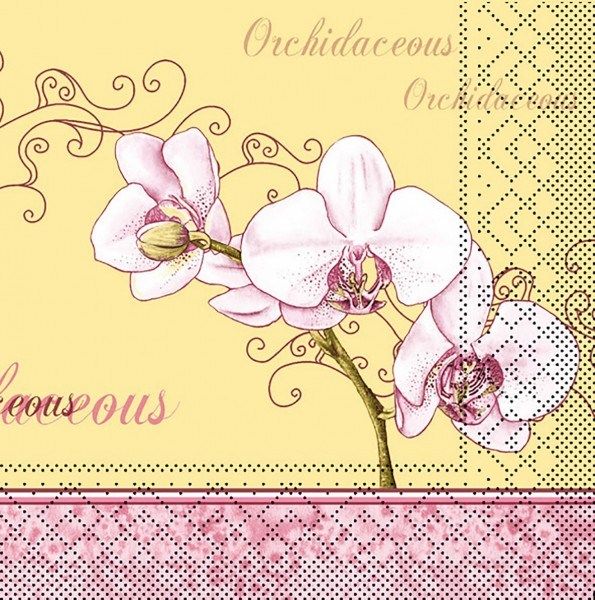 Tissue Serviette Orchidee, 40x40 cm, 100 Stück - Mank