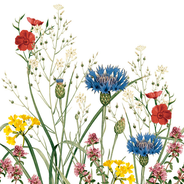 Airlaid Serviette Edith, 40 x 40 cm, 50 Stück - Mank