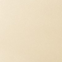 Airlaid Tischläufer Shine in creme metallic, 40 cm x 24 m , 1 Stück - Mank Airlaid Tischläufer Shine in creme metallic, 40 cm x 24 m , 1 Stück - Mank