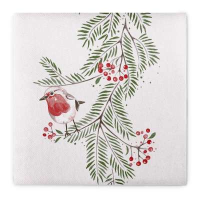 Life By Cotton Servietten – 12 Stück, 45,7 X 45,7 Cm, Rot-weiß Kariert, 100% Baumwolle