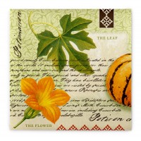 Airlaid Serviette Luca, 40 x 40 cm, 50 Stück - Mank Airlaid Serviette Luca, 40 x 40 cm, 50 Stück - Mank