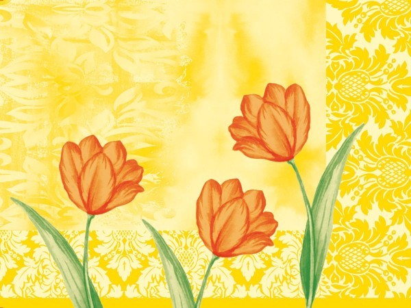 Airlaid Tischset Sally in Gelb-Orange, 40 x 30 cm, 100 Stück - Mank