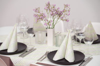 Spanlin-Bio Serviette Femke in Hellgrün-Beere-Schwarz, 40 x 40 cm, 30 Stück - Mank Spanlin-Bio Serviette Femke in Hellgrün-Beere-Schwarz, 40 x 40 cm, 30 Stück - Mank