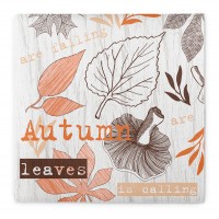 Airlaid Serviette Adam in Terrakotta-Braun, 40 x 40 cm, 50 Stück - Mank Airlaid Serviette Adam in Terrakotta-Braun, 40 x 40 cm, 50 Stück - Mank