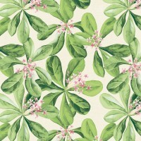 Airlaid Tischdecke Jane, 80 x 80 cm, 20 Stück - Mank Airlaid Tischdecke Jane, 80 x 80 cm, 20 Stück - Mank